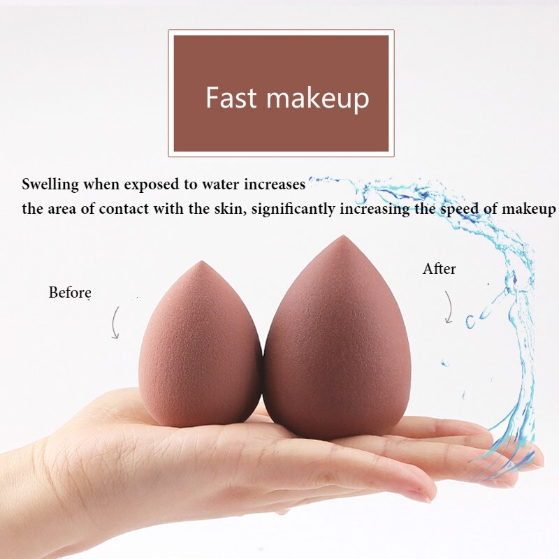 Kit de esponjas Z'oreya